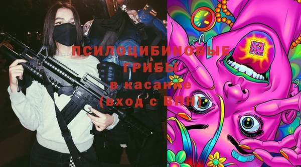 соль ск Бугульма