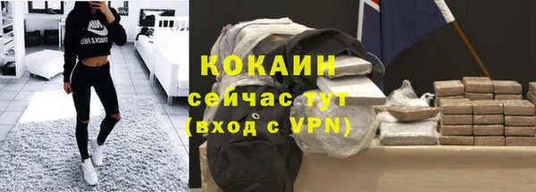 сатива Бронницы