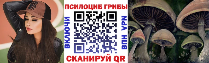 Галлюциногенные грибы MAGIC MUSHROOMS  Купить  Асино 
